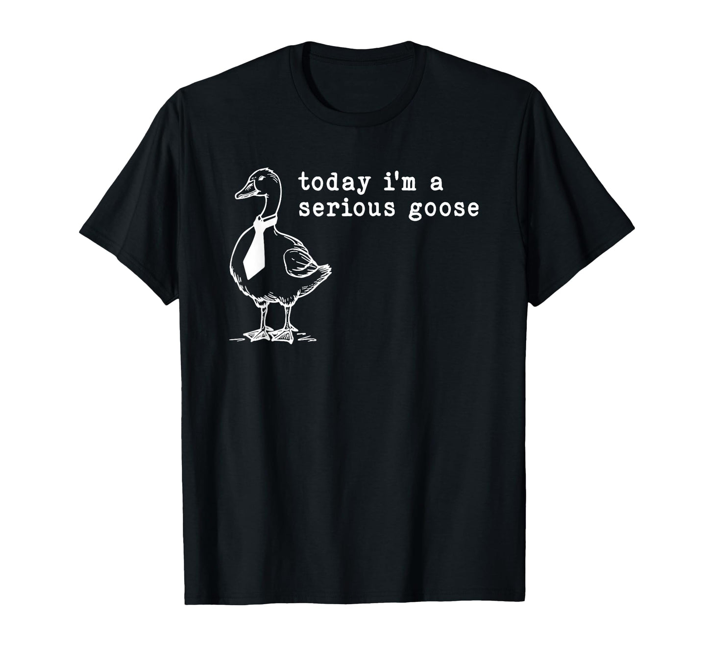 today i'm a serious goose T-Shirt