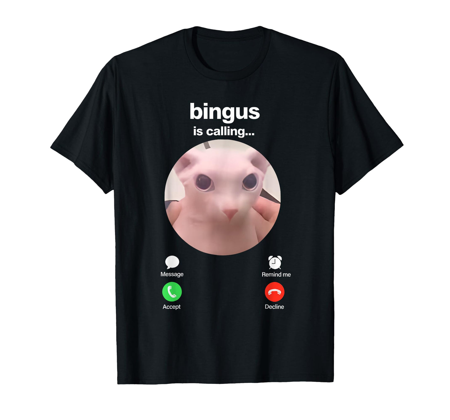 Bingus is Calling Hairless Sphinx Cat Bingus Cat Meme Gen Z T-Shirt