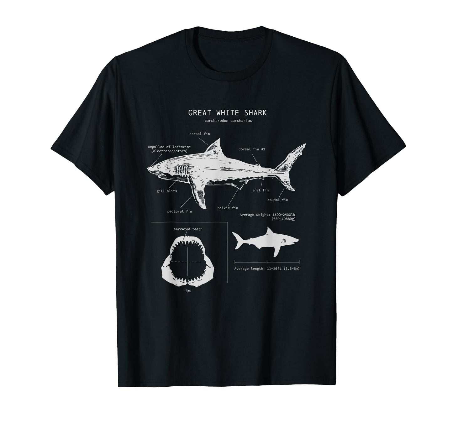 Great White Shark Anatomy , Marine Biologist T-Shirt