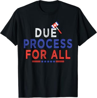 Due Process Cool Graphic For All Funny T-Shirt