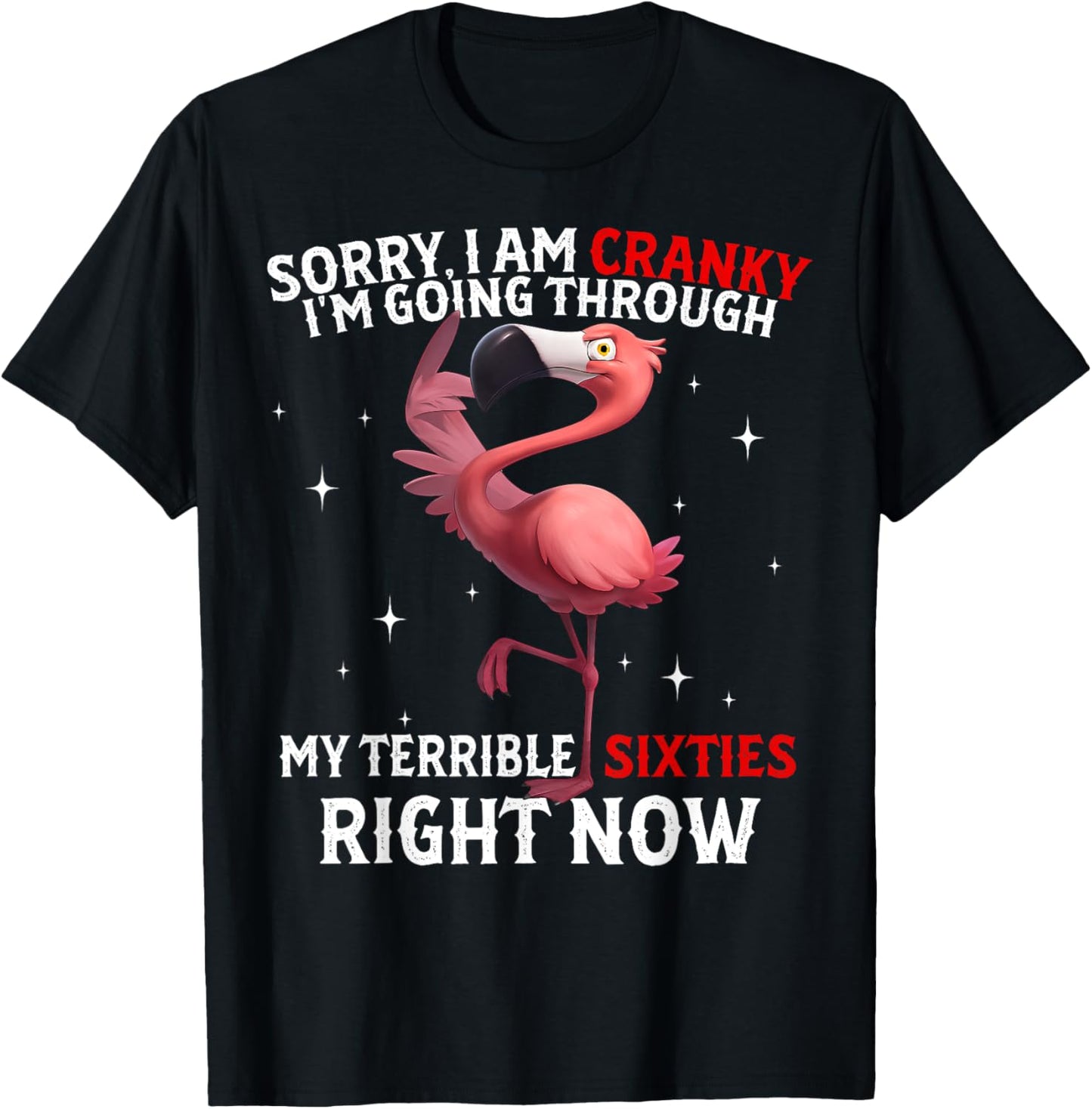 Sorry I Am Cranky I'm Going Through My Terrible Sixties T-Shirt