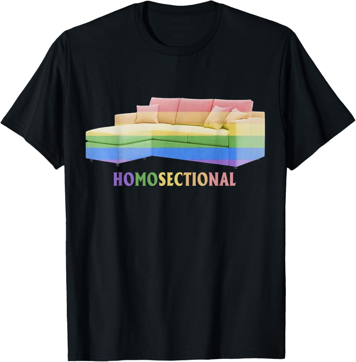 Homosectional LGBT Gay Pride Rainbow Flag Funny Ally T-Shirt