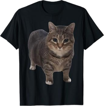 Oiia Oiia Cat Funny Spinning Cat Meme T-Shirt