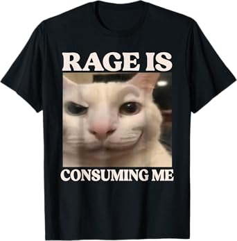 Rage Is Consuming Me Cat Silly Cat Meme T-Shirt
