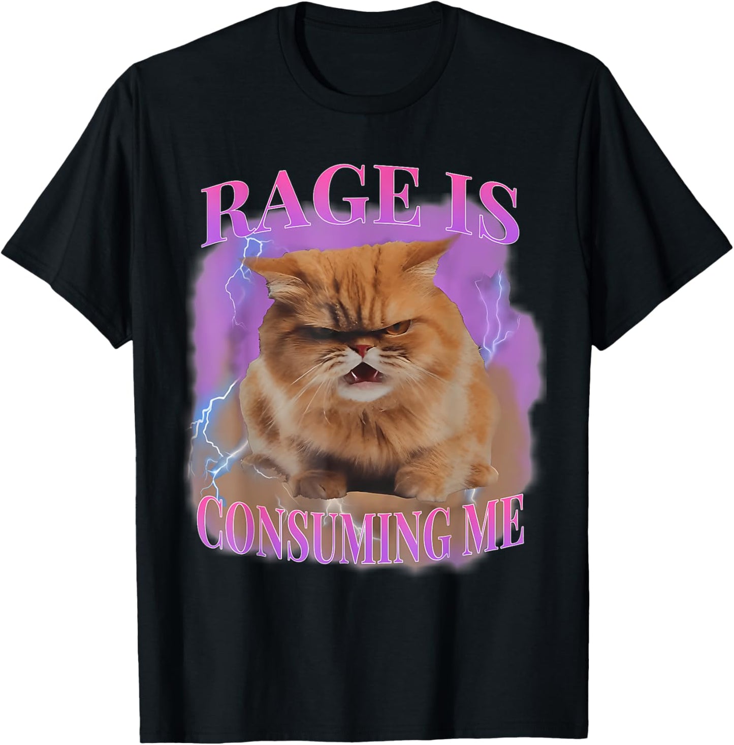 Rage Is Consuming Me Silly Staring Cat Meme T-Shirt