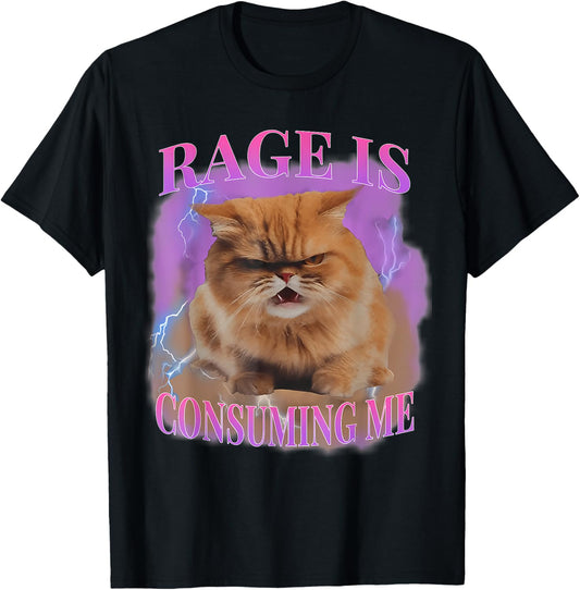 Rage Is Consuming Me Silly Staring Cat Meme T-Shirt