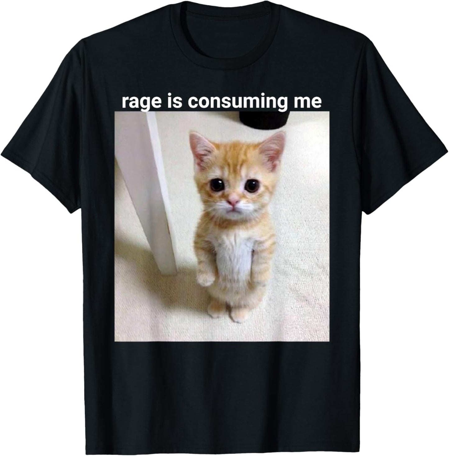 rage is consuming me cat T-Shirt