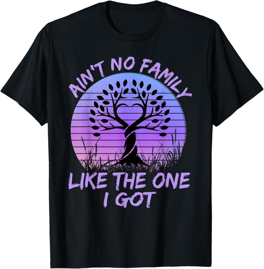 Ain't No Family Like The One I Got Matching Family Reunion T-Shirt