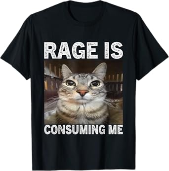 Rage Is Consuming Me Silly Staring Cat Meme T-Shirt