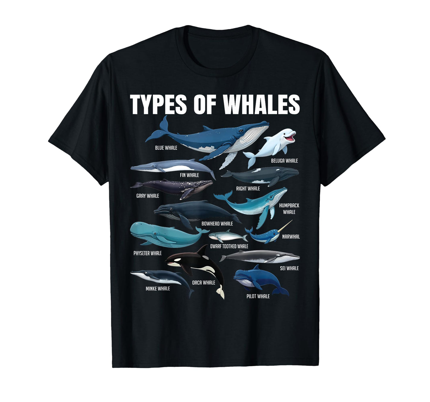 Types of Whales Educational Marine Life Enthusiast Biologist T-Shirt