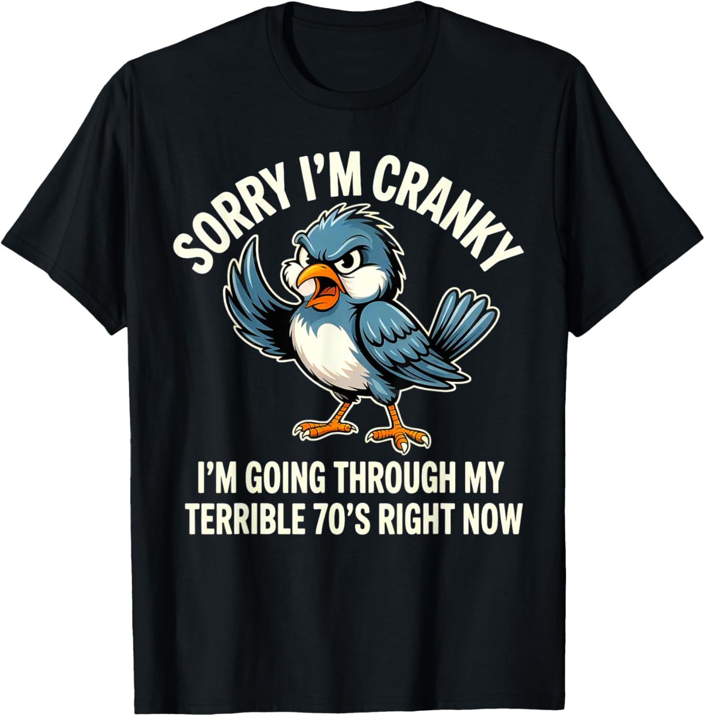 Sorry I Am Cranky I'm Going Through My Terrible 70's Right T-Shirt