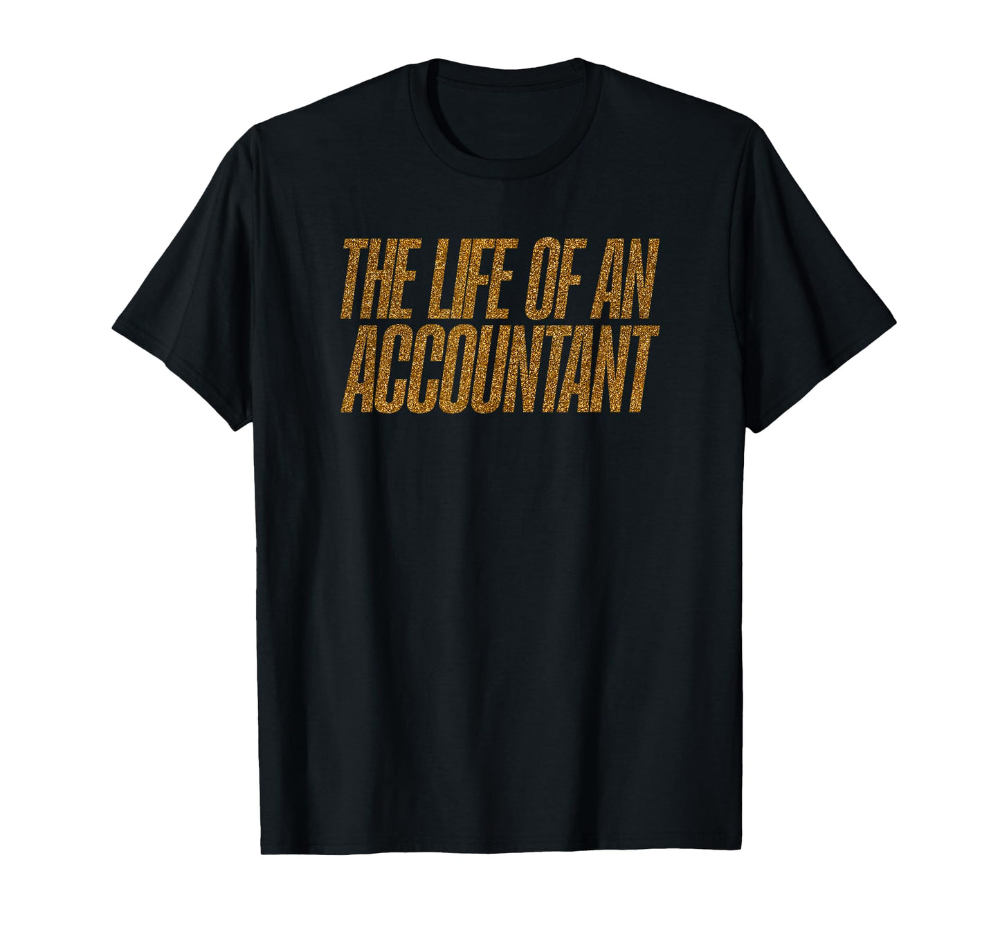 The Life of an Accountant Funny T-Shirt