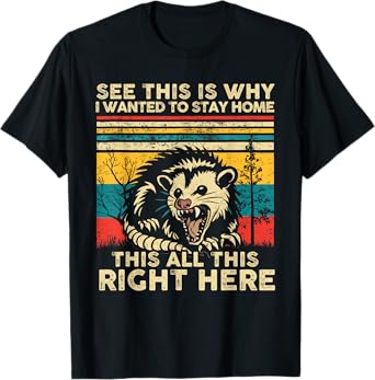 See This Is Why I Wanted To Stay Home This All This Right T-Shirt