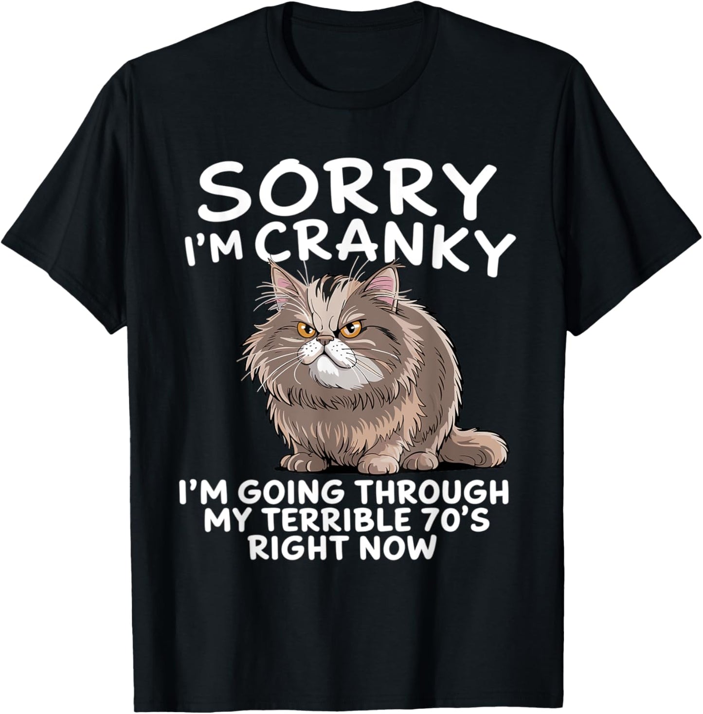 Sorry I Am Cranky I'm Going Through My Terrible Seventies T-Shirt