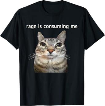 Rage Is Consuming Me Silly Staring Cat Meme T-Shirt