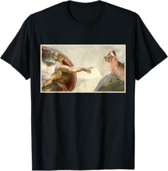 Almighty Slap Funny Cat God Creation of Adam Meme Jesus Art T-Shirt for Men Women Kids