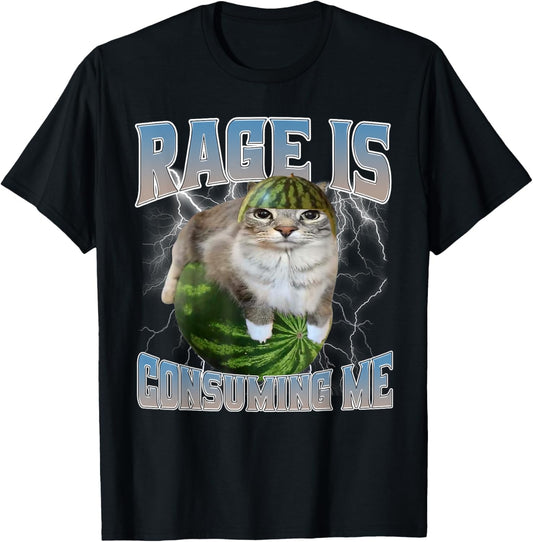 Rage Consumes Me Funny Silly Staring Cat Meme Women Men T-Shirt