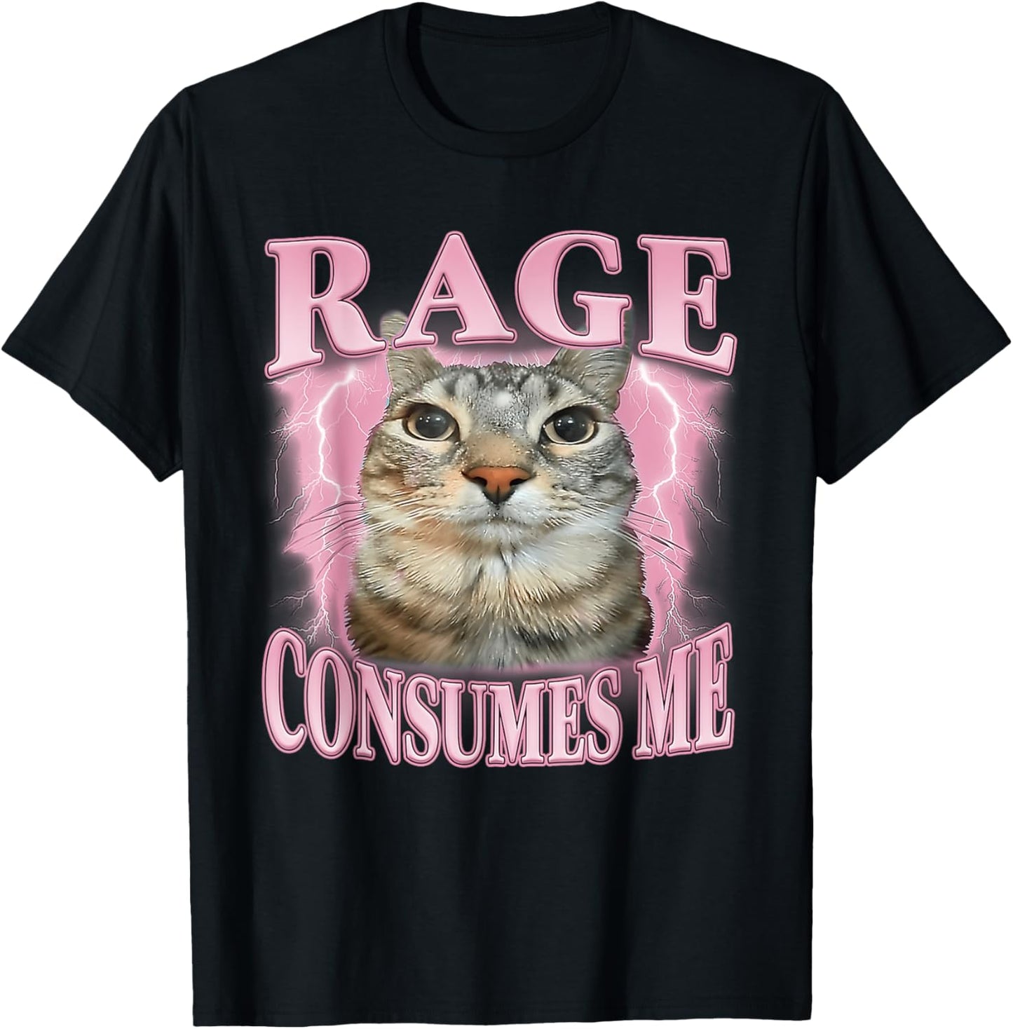 Rage Consumes Me Cat Meme Funny Saying Silly Cats Humor T-Shirt