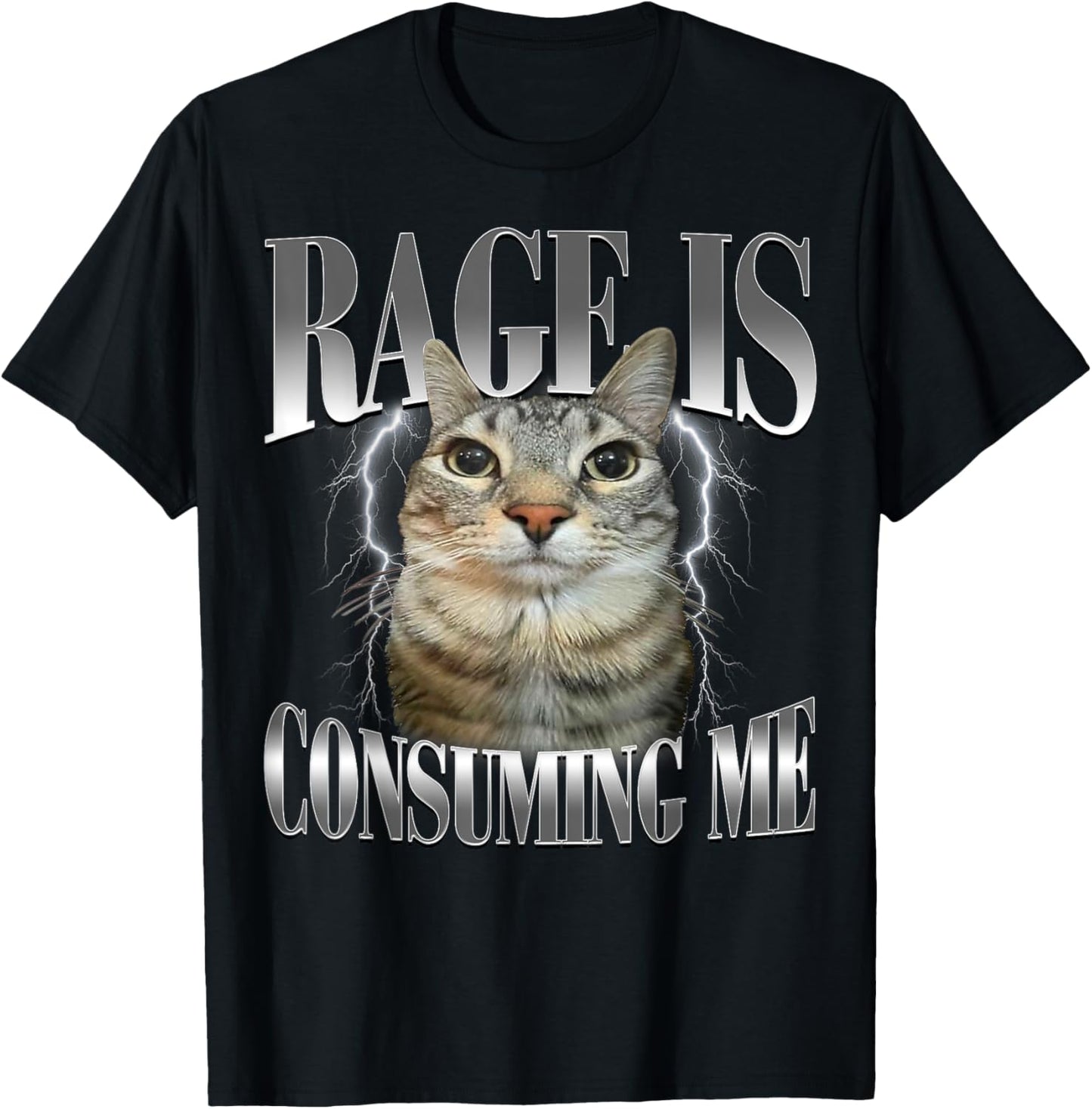 Rage Is Consuming Me Silly Staring Cat Meme Humor Cat Funny T-Shirt