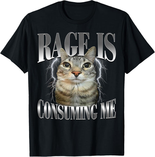 Rage Is Consuming Me Silly Staring Cat Meme Humor Cat Funny T-Shirt